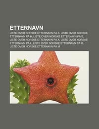 Etternavn