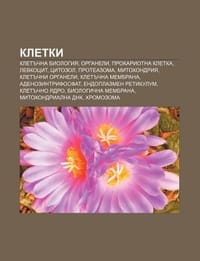 Kletki