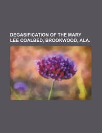 Degasification of the Mary Lee Coalbed, Brookwood, ALA. - U. S. Government