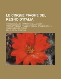 Le Cinque Piaghe del Regno D'Italia; Rappresentanza, Rapporti Colla Chiesa, Amministrazione, Finanze, Pubblica Opinione, Mali E Rimedi, Discorsi Cinqu