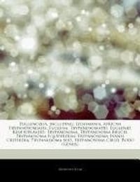 Euglenozoa, Including