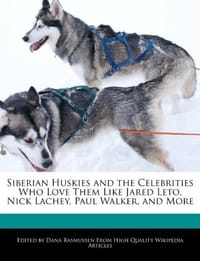 Siberian Huskies and the Celebrities Who Love Them Like Jared Leto, Nick Lachey, Paul Walker, and More - Rasmussen, Dana