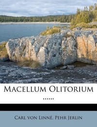 Macellum Olitorium ......