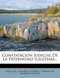Constataci N Judicial de La Paternidad Ileg Tima...