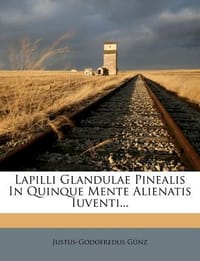 Lapilli Glandulae Pinealis in Quinque Mente Alienatis Iuventi...