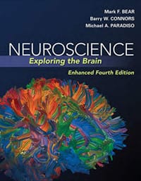 书籍 Neuroscience: Exploring the Brain的封面