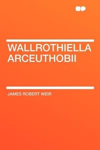 Wallrothiella Arceuthobii