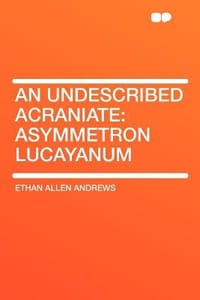 An Undescribed Acraniate