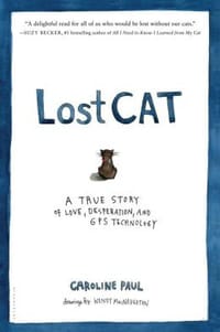 Lost Cat