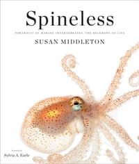 Spineless - Susan Middleton