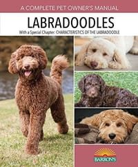 Labradoodles - 无名图书
