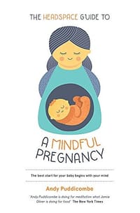 书籍 The Headspace Guide To...A Mindful Pregnancy的封面