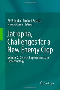 Jatropha, Challenges for a New Energy Crop