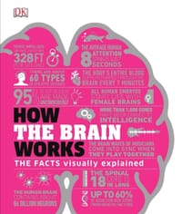 HOW THE BRAIN WORKS - 无名图书