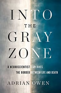 书籍 Into the Gray Zone的封面