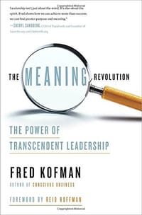 书籍 The Meaning Revolution的封面