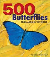 500 Butterflies