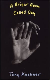 书籍 A Bright Room Called Day的封面