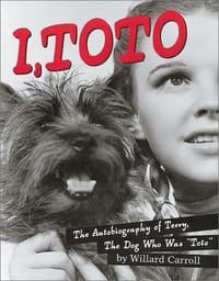 I Toto