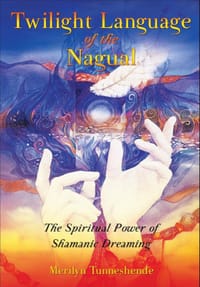 Twilight Language Of The Nagual - Tunneshende, Merilyn