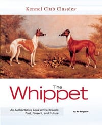 The Whippet