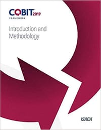 COBIT 2019 Framework: Introduction and Methodology