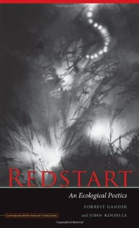 Redstart