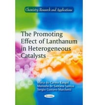 The Promoting Effect of Lanthanum in Heterogeneous Catalysts