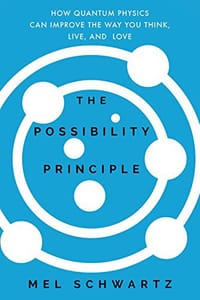 书籍 The Possibility Principle的封面