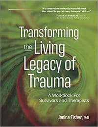 书籍 Transforming The Living Legacy of Trauma的封面