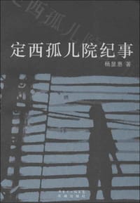 书籍 定西.孤儿院纪事的封面