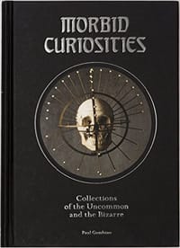 Morbid Curiosities - Paul Gambino