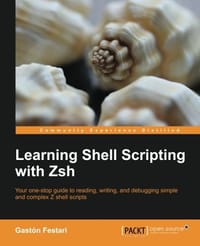 书籍 Learning Shell Scripting with Zsh的封面