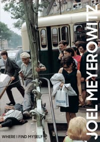 Joel Meyerowitz