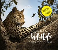 The A to Z of Wildlife Watching - Lonely Planet