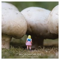 书籍 Microworlds的封面