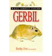 All About Your Gerbil