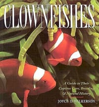 Clownfishes