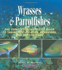 Wrasses and Parrotfishes