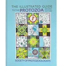 An Illustrated Guide To The Protozoa