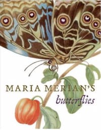 Maria Merian'S Butterflies  玛丽亚·梅里安的蝴蝶