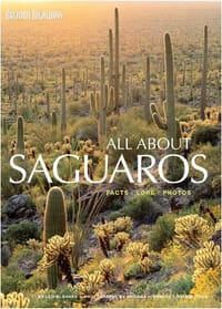 All about Saguaros