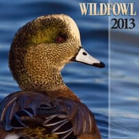 2013 Wildfowl Calendar