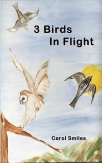 3 Birds in Flight