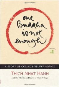 书籍 One Buddha is Not Enough的封面