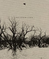 Meadowlark