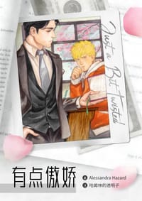 书籍 有点傲娇的封面