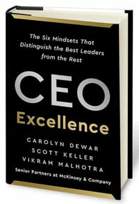 书籍 CEO Excellence的封面