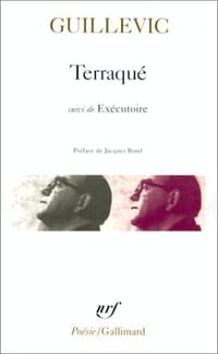 Terraque