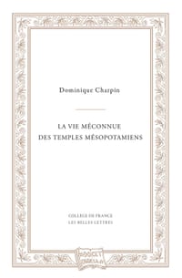 La vie méconnue des temples mésopotamiens